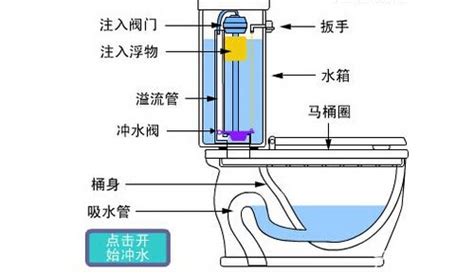 马桶内部结构图图片