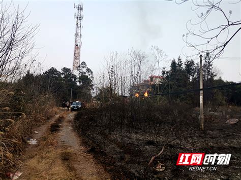 突发山火 郴州联通第一时间恢复中断光缆保通信_县区（市）_郴州站_红网