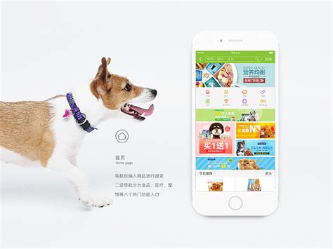 宠物市场安卓版下载-宠物市场app下载v6.7.0-乐游网安卓下载