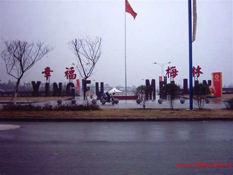 胡润中国最具历史文化底蕴品牌榜发布，上海梅林旗下多个“老字号”登榜_中国网海峡频道