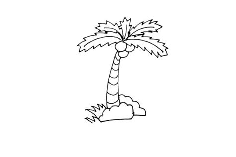 打印_彩色椰子树简笔画图片 彩色椰子树怎么画 - 老师板报网