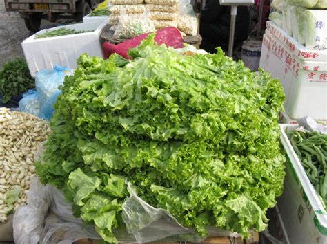 济南七里堡蔬菜综合批发市场_地址_地图_公交_电话-淘金地农业网