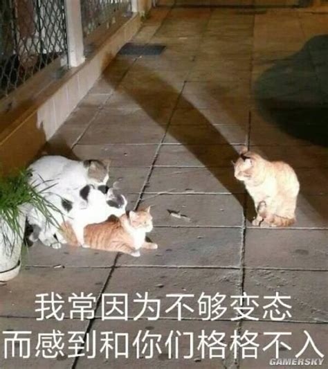 今日份的沙雕图图片