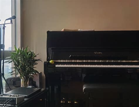 钢琴工作室&电商公司 两组LOGO案例_APE品牌策划-站酷ZCOOL