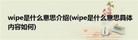 wipe是什么意思介绍(wipe是什么意思具体内容如何)_公会界