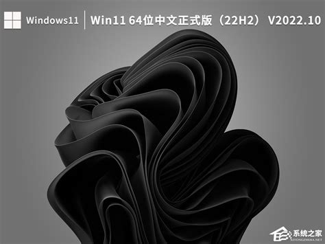 Win11商业版|Windows11商业版 V22000.318 官方最新版下载_当下软件园
