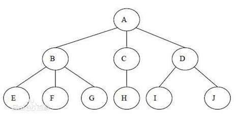 树形结构_360百科