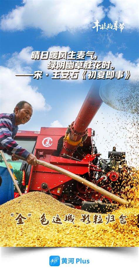 今年上半年国际粮价暴涨暴跌，中国夏粮增产丰收__财经头条