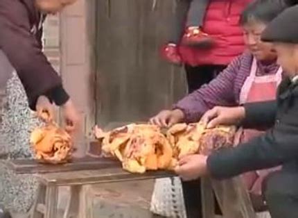 上海250只鸡鸭被咬死 村民拍到影像难辨“真凶”_社会万象_99养生堂