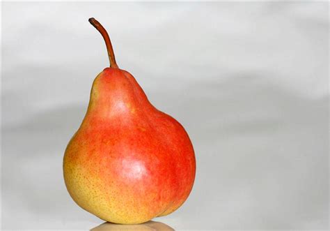 41种不常见的奇葩水果 罕见的水果图片和名字(2) - 鲜淘网