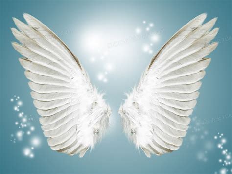 天使的翅膀背景图片素材免费下载_熊猫办公