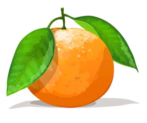 卡通插画橘子素材图片免费下载-千库网