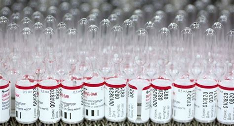 普京：俄罗斯在开发新冠疫苗方面居世界领先地位