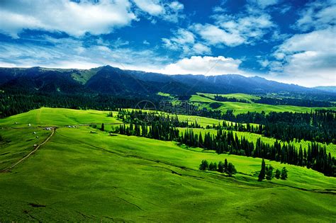 新疆北疆自然风光高清图片下载-正版图片500193401-摄图网