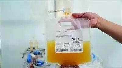 献血流程图设计图__海报设计_广告设计_设计图库_昵图网nipic.com