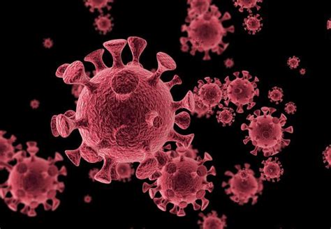关于B.1.1.7新冠病毒变种 目前我们知道些什么|新冠肺炎_新浪新闻