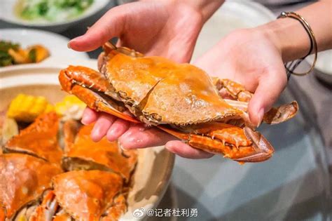 徐记海鲜🦞作为国际峰会晚宴菜品中国唯一入选的餐饮品牌|海鲜|徐记|晚宴_新浪新闻