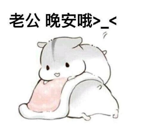 老公表情包图片