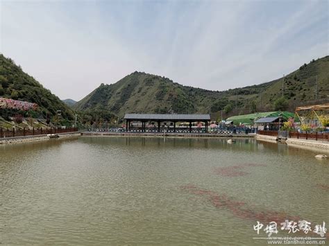 张家川县：夏日乡村生态旅游“升温”人气爆棚(图)--天水在线