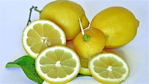喝柠檬水有什么好处和坏处-功效作用和禁忌大全-百度经验