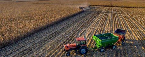 【看美国】美国发布最新农业数据 - 国际动态 - 中信农业