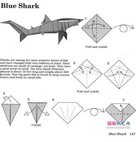 粘土鲨鱼制作教程 - 魔法网