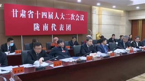 石谋军在陇南代表团审议《政府工作报告》时强调了这些_凤凰网视频_凤凰网