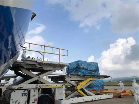 海口美兰机场正式恢复国内中转国际及地区航班服务[图]_海口网