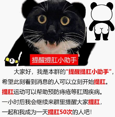 表情包肛图片