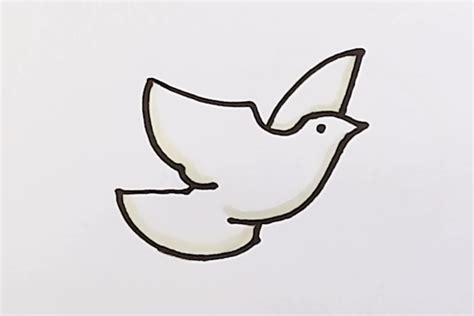 白鸽简笔画三步完成 白鸽的画法三步 - 天奇生活