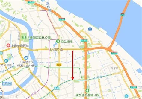 上海轨道交通崇明线各站位置明确：崇明东部与市中心呈现协同发展|浦东新区|崇明|崇明区_新浪新闻