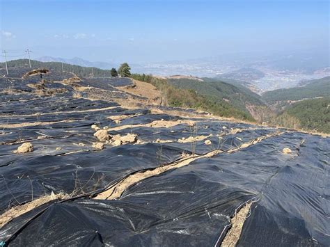 资源禀赋铸就大凉山特色农产品品牌_四川在线