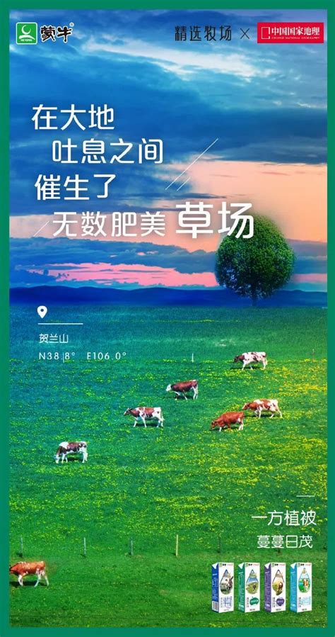 蒙牛精选牧场的秘密：中国国家地理用5分钟的纪录片告诉你
