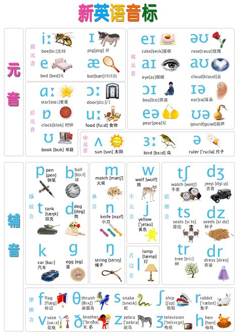 新版英语48个国际音标挂图表小学生音标发音墙贴入门教材学习神器