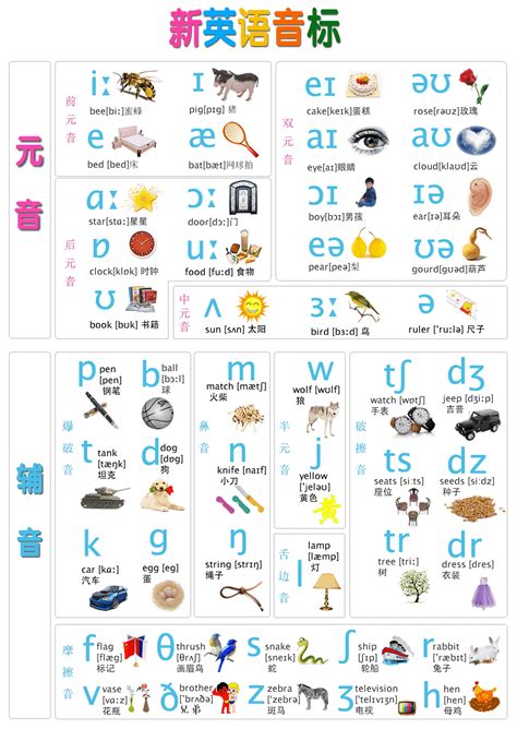 48个音标图片