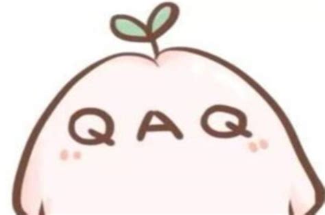 qaq是什么意思（网络用语） | 布丁导航网