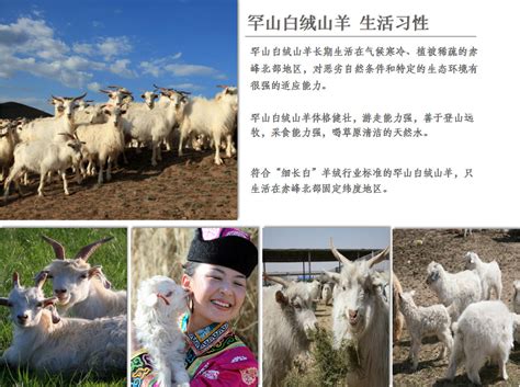 赤峰东荣羊绒发展（集团）有限公司
