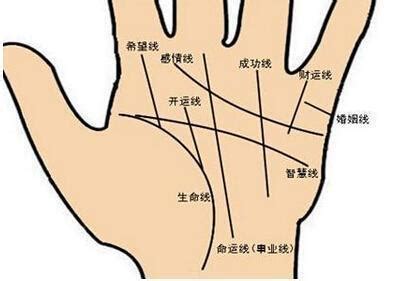 穿钱纹手相图片