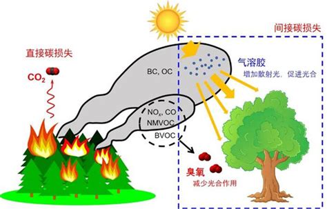 臭氧污染到底是如何产生又该如何科学防治呢_上海力皇环保工程有限公司