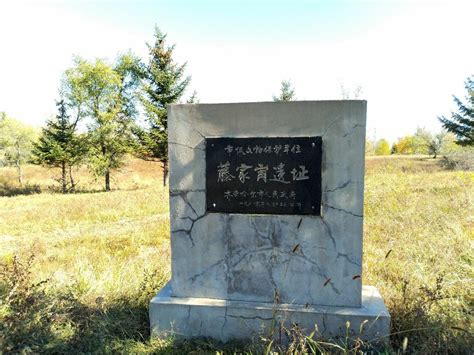 黑龙江齐齐哈尔昂昂溪区水师营满族镇地图 -手机版