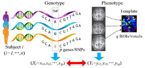【Nature Neuroscience】抑癌基因体内功能筛选新办法：AAV CRISPR突变库！-和元生物