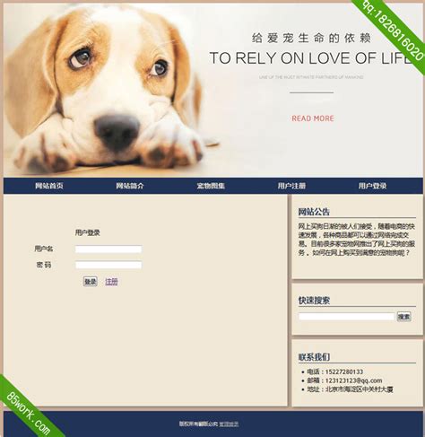 动物网站模板,宠物网站模板,宠物医院网站模板,宠物狗网站模板_懒人模板
