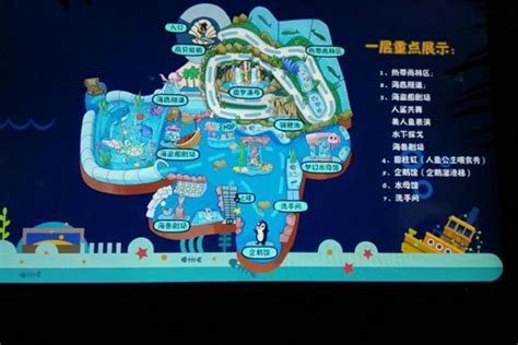 武汉东湖海洋世界导向地图设计－本科毕业作品|空间|导视设计|breathxi - 原创作品 - 站酷 (ZCOOL)