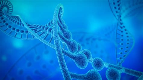 干货丨高中生物必修二DNA结构、复制和表达知识梳理