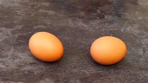 黄天鹅鸡蛋30枚可生食无菌新鲜溏心蛋日式寿喜烧鸡蛋【9月20日发完】