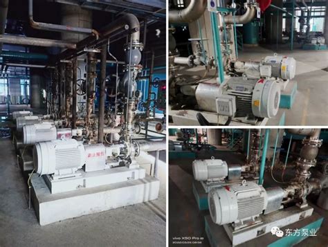 东方泵业化工泵系列助力齐鲁制药新建项目顺利验收-中国通用机械工业协会