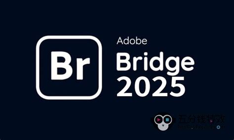Adobe Bridge 2026 v16.0.6.9 中文直装版：创意资产的终极管理中枢-悟界ShareHub