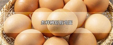 怎样辨别假鸡蛋和人造鸡蛋(怎样鉴别新鲜鸡蛋)-参考网