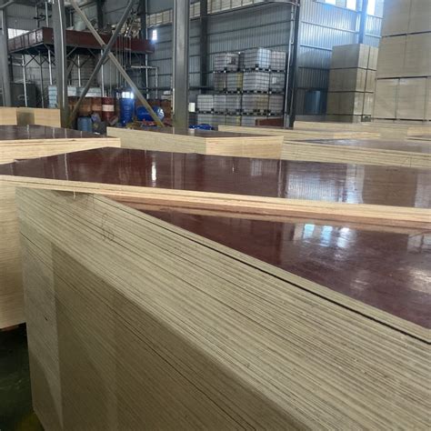 广西优质桉木建筑木模板直销