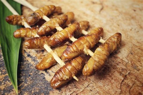 乡村|美味烤蚕蛹，这虫子全身都是蛋白质_腾讯视频